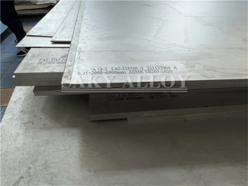 Gr17 Titanium Plate